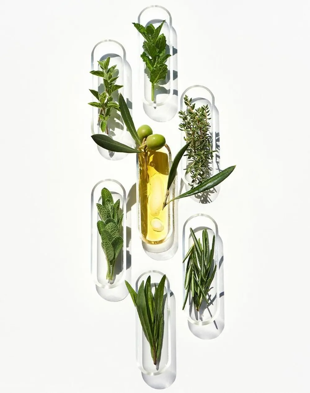Naturopathic Medicine