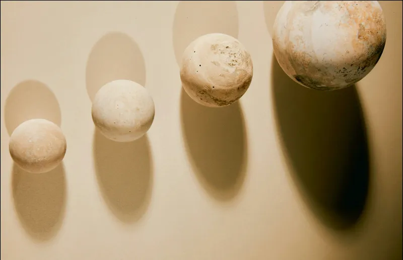 Seed Cycling: Trend or Science-Backed Hormone Support?